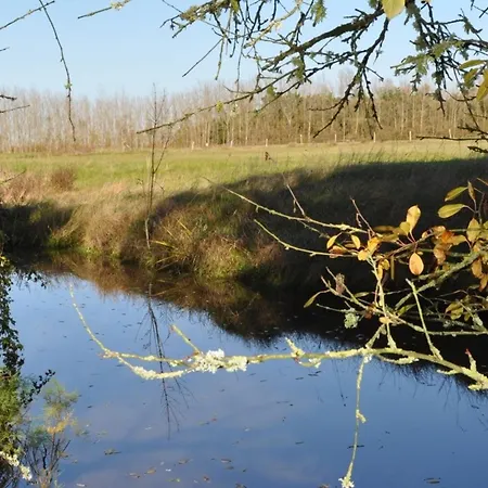 Bel 2 Chambres, Pour 6 Pers., Face Mer, A 50m De La - Fr-1-323-297 * Saint-Jean-de-Monts